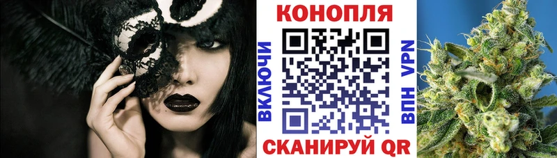 Как найти закладки Сосновый Бор СК  АМФЕТАМИН  ГАШ  Меф мяу мяу 
