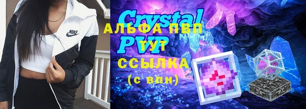 a pvp Алзамай