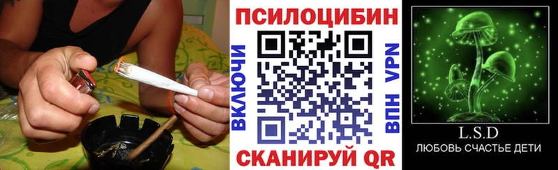 KRAKEN зеркало  наркота  Сосновый Бор  Галлюциногенные грибы ЛСД 