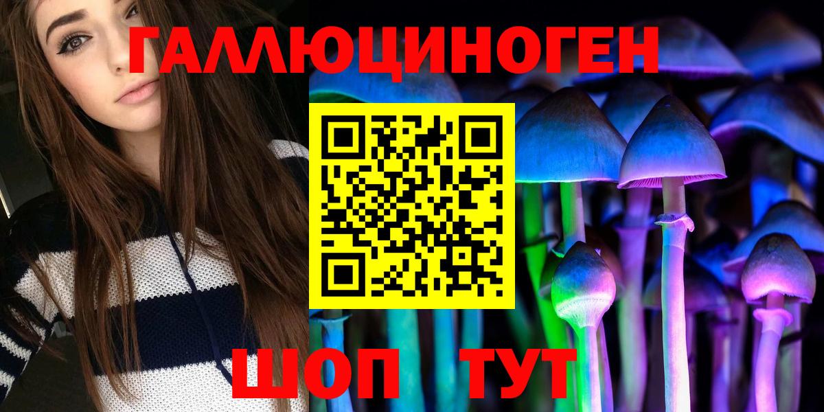 Псилоцибиновые грибы Psilocybe  Вход с VPN  Сосновый Бор 