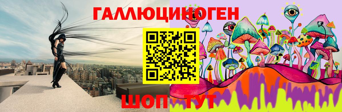 Псилоцибиновые грибы мухоморы Сосновый Бор