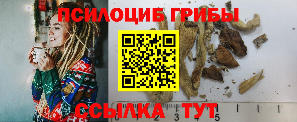 Псилоцибиновые грибы Psilocybine cubensis  наркотики  Сосновый Бор  Вход с VPN 